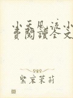 小天风流小说免费阅读全文最新章节