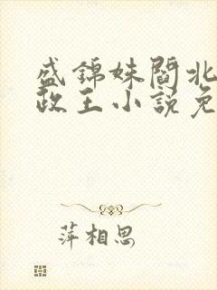 盛锦姝阎北铮摄政王小说免费阅读