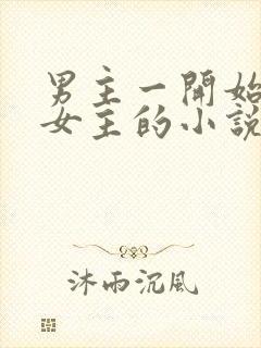 男主一开始嫌弃女主的小说