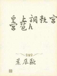 皇上调教宫女开宫苞h