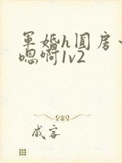 军婚h圆房～h嗯啊1v2封面