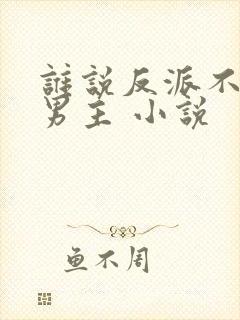 谁说反派不能当男主 小说