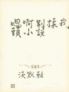 嗯啊别揉我的奶头小说