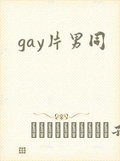 gay片男同