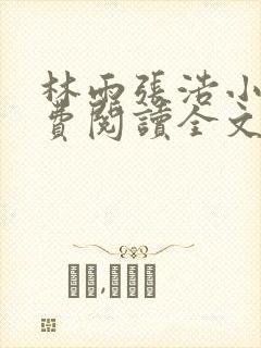 林雨张浩小说免费阅读全文最新章节