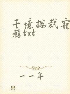 千亿总裁宠妻上瘾txt