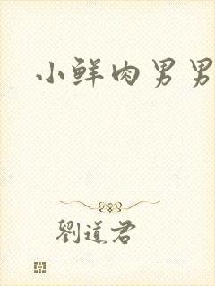 小鲜肉男男