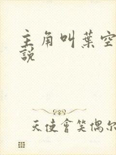 主角叫叶空的小说封面