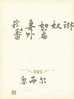 我妻如奴琳救赎番外篇