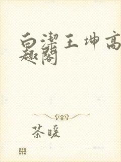 白洁王坤高义笔趣阁封面