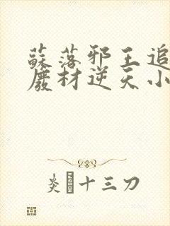 苏落邪王追妻:废材逆天小姐字数