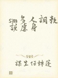 sm多人调教小说虐身封面