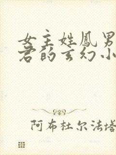 女主姓凤男主姓君的玄幻小说