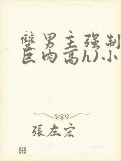 双男主强制爱(巨肉高h)小说