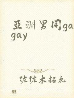 亚洲男同gaygay