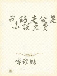 我的老公是冥王 小说免费封面