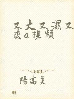 又大又湿又紧又爽a视频