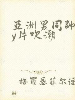 亚洲男同帅gay片吹潮封面