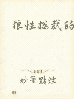 狼性总裁的尤物封面