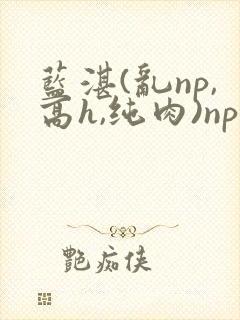 蓝湛(乱np,高h,纯肉)np封面