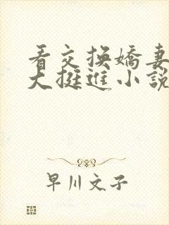 看交换娇妻被粗大挺进小说封面