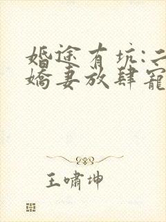 婚途有坑:二嫁娇妻放肆宠
