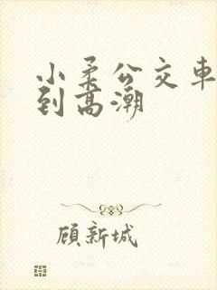 小柔公交车嗯啊到高潮封面