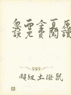 忽而今夏原著小说免费阅读