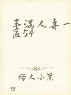 丰满人妻一区一区54