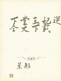 下堂王妃逆袭记全文下载封面