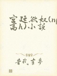 宫廷欲奴(np高h)小说