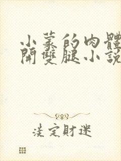 小蒙的肉体被扒开双腿小说