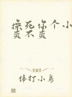 操死你个小骚货爽不爽