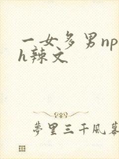 一女多男np高h辣文