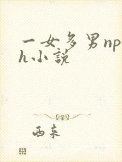 一女多男np高h小说