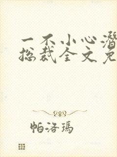 一不小心潜了个总裁全文免费阅读封面