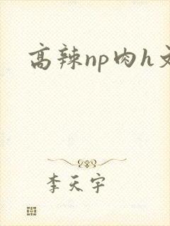 高辣np肉h文