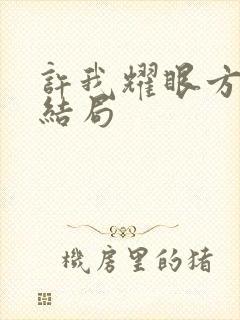 许我耀眼方雷的结局