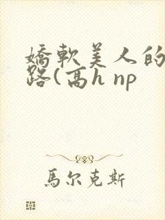 娇软美人的风月路(高h np