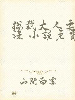 总裁大人要够了没 小说免费阅读