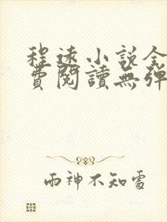 程远小说全文免费阅读无弹窗封面