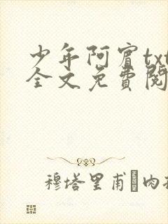 少年阿宾txt全文免费阅读小说封面