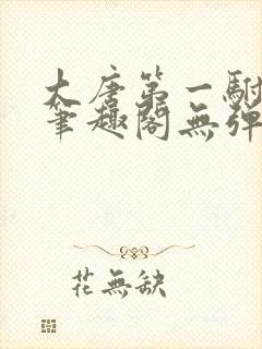 大唐第一驸马爷笔趣阁无弹窗