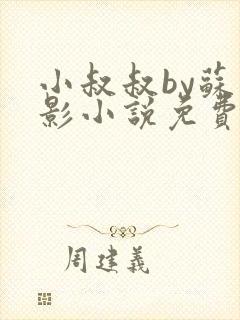 小叔叔by苏九影小说免费阅读