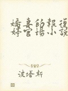 娇妻的报复杨晓婷官场小说封面