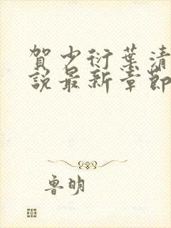 贺少衍叶清栀小说最新章节免费阅读封面