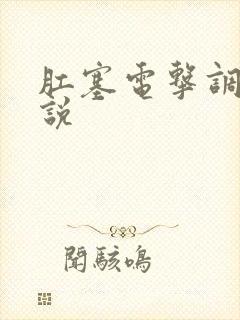 肛塞电击调教小说封面