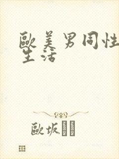 欧美男同性恋性生活