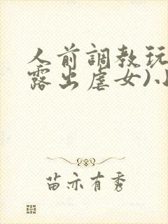 人前调教玩弄(露出虐女)小说