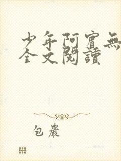 少年阿宾无删减全文阅读